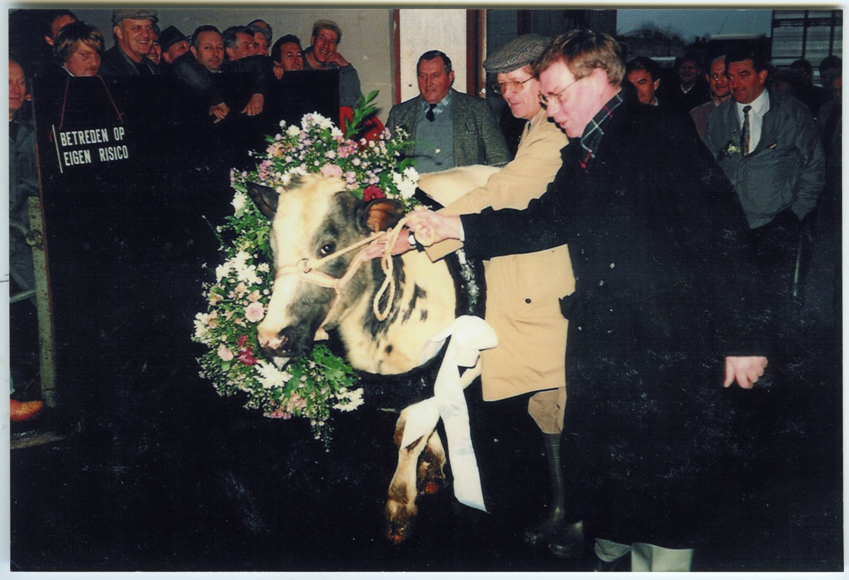 De opening van de nieuwe veemarkt aan de Willemskade met een versierde koe en rechts Burgemeester Sytze Faber. Collectie Jan Pol
