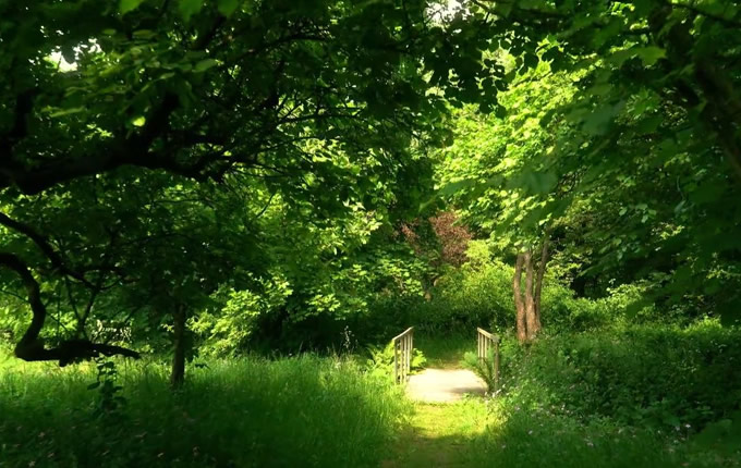 Lezing op Locatie zaterdag 3 mei Tuinbouwschool Frederiksoord / De Proef